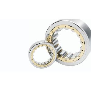Oilfield C3P4 NU206ECP Cylindrical Roller Bearing