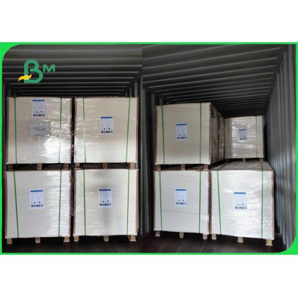 300gsm + 15g PE White Recyclable Paper For Lunch Boxes Greaseproof 70 x 100cm