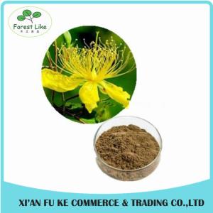 Saint John's Wort / Hypericum Perforatum Extract Hypericin
