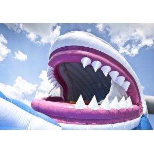 EN14960 Snappy Shark Jumping Castle Inflate Combo Commercial Grade