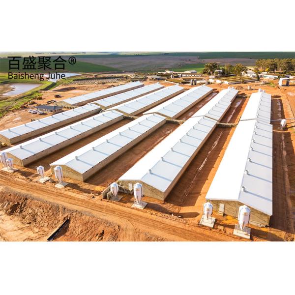 Buy Customizable Steel Structure for Dairy Farming Hot Dip Galvanised and Paint Spraying at wholesale prices