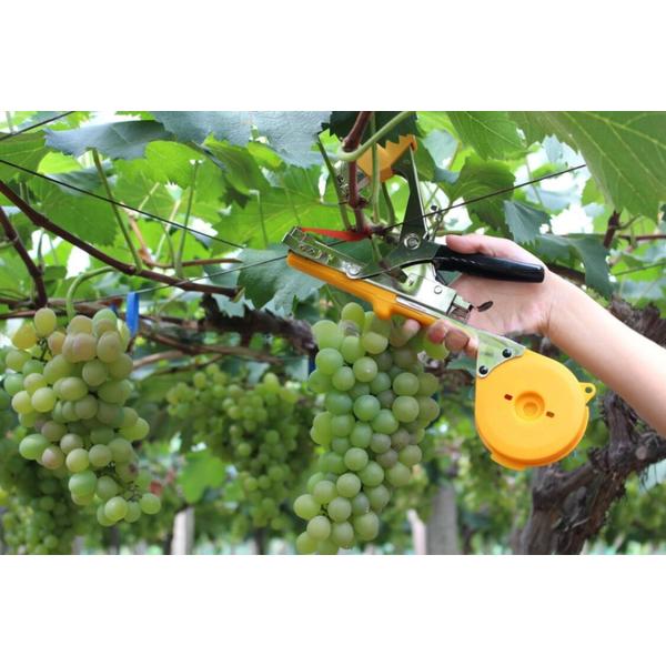 G236B Tape Tool for Agriculture Customized Support and 0.5kg Weight