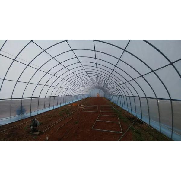 Anti Drip Plastic Film Greenhouse Light Transmission 80%-90%