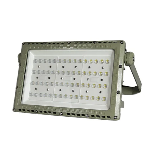 Long Life LED Flood Light With AC100-277V Voltage Rating IP66 Waterproof 50000h