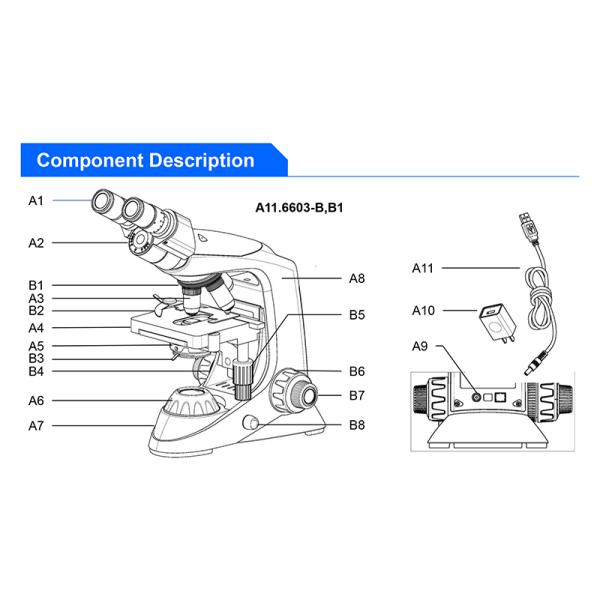Achromatic OPTO-EDU A11.6603-M 1000x School Monocular Microscope