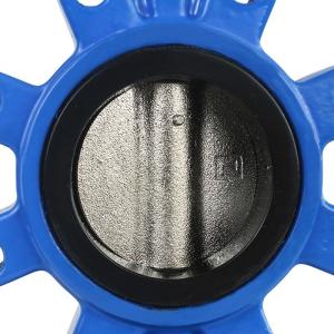 316/ 304 Cast Iron Butterfly Valve