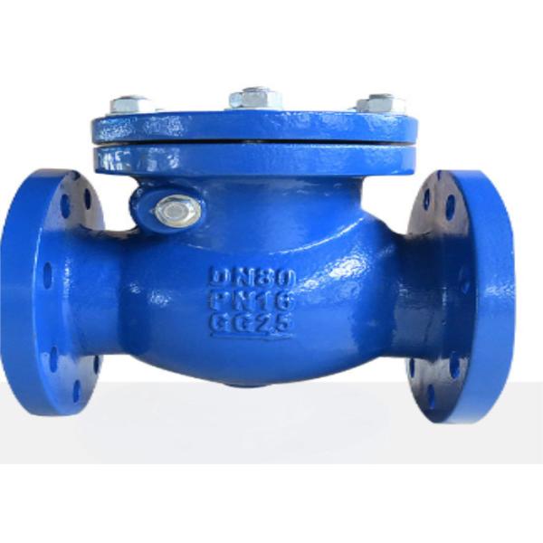 Dn50 Swing Check Valve Flange Type Steel Metal Seat Cast Iron Body