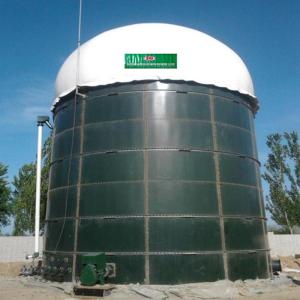 Anaerobic Reactor Biogas Purification Equipment In Biogas Plant Project