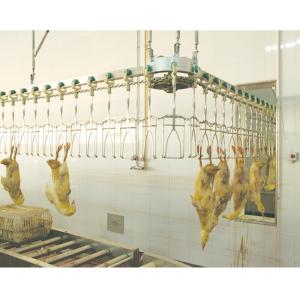 stainless steel Goose Slaughter Machine 200BPH - 12000BPH Poultry Processing