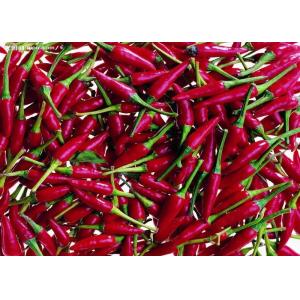 Dehydrated Red Bullet Chilli Pods Cayenne Pepper 25000SHU Without Stem