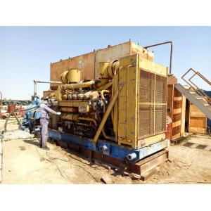 DC Output 500kw Biogas Electric Generator for Animal Waste Energy Conversion