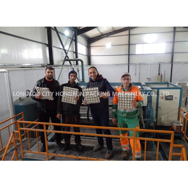 Buy Natural Gas Pulp Molding Machine , Rotary Egg Tray Making Machine at wholesale prices