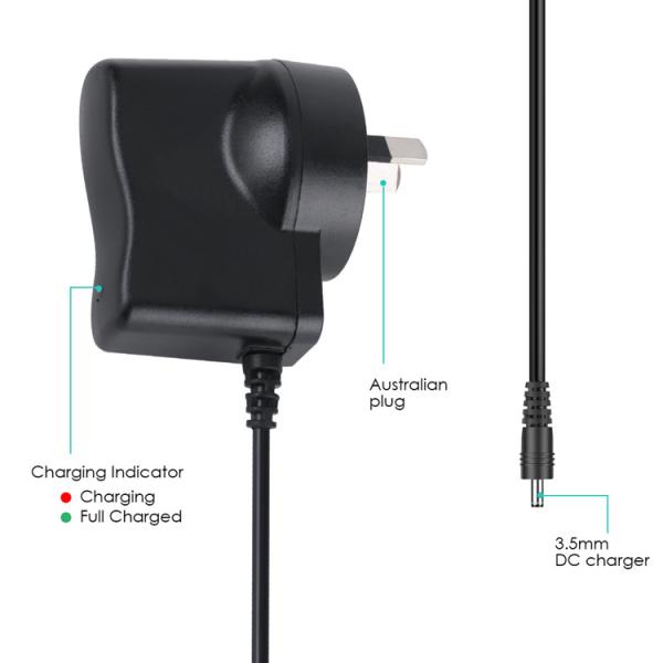 50g AC DC Wall Power Adapter 4.2V 1A Power Supply OEM / ODM