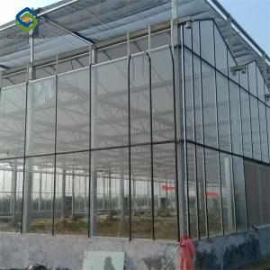 China Multispan Agricultural Venlo Glass Greenhouse Hot Galvanized Steel Customized on sale