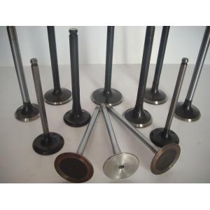 Custom Autoparts N20 Engine Intake Valve And Exhaust Valve OEM 4007004Z-S