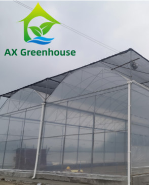 Buy 100micro 120micro 5 Layers Plastic Film Greenhouse Vegetable Farming at wholesale prices