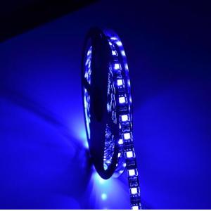 SMD2835 Dimmable Rgb Led Strip Copper Lamp Body Material IP20/IP44/IP54/IP67