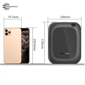 200ml Commercial Air Dispenser Sterilization Aroma Diffuser Hotel OEM