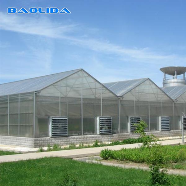 Buy Venlo Type Greenhouse at wholesale prices