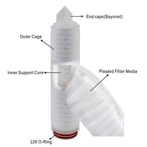 10 inch PP Pleated Filter Cartridge for Sterile Filtration Bacterial Interceptio