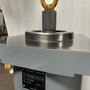 A11VLO Rexroth Hydraulic Pump A11V040 A11V060 A11V075 A11V095 A11V0130 A11V0145