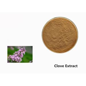 Brown Clove Flower Plant Extract Powder For Food Additive