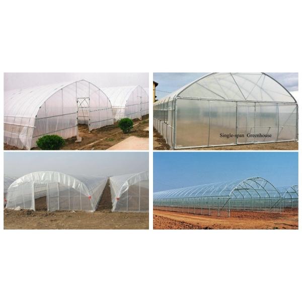 Film Covered Agricultural Tunnel Greenhouse for Growing Vegetables Fruits and Flowers