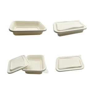 Thermoforming Biodegradable Plastic Sheet Polylactic PLA Disposable Food