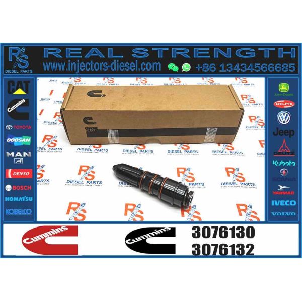 Fuel Injector Valve 3095773 3071497 3087587 3076703 3076132 3076130 for Cummins K19 KTA19 KTA38 Engine