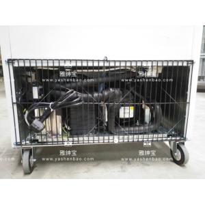 880W Removable Stainless Steel Upright Commercial Freezer Multiclimate