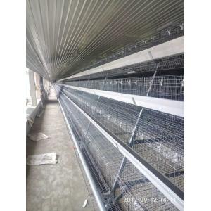 Automatic Steel Structure Poultry Farm Shed Design Modern Chicken House