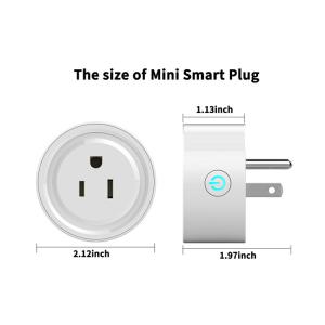 Non Grounding Voice Control Smart Plug Wifi Outlet 10A CE Approved