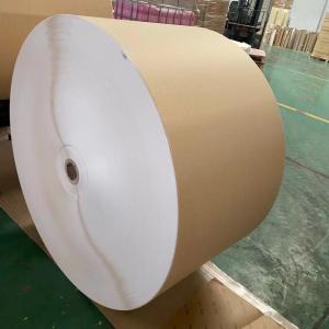 PE Coated 7oz 8oz Paper Cup Bottom Roll Food Grade 3500m Length