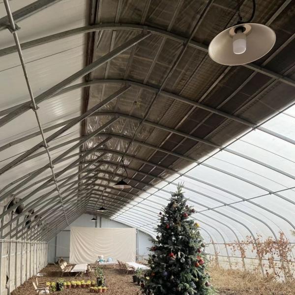 Vegetable Film Flower Planting Drip Irrigation Sunlight Greenhouse