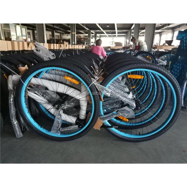 2024 Model 26" Single Gear Foot Brake Anti Rust Women's Beach Cruiser Bike Steel Fork