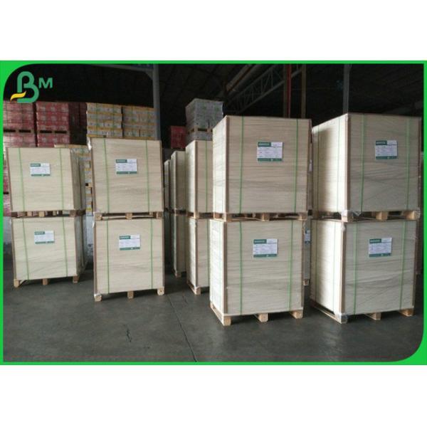 ECO 210 230 Grammages Cup Base Paper Board Coated Polyethylene For Paper Cup 