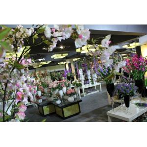 Xiamen Fusihua Imp. & Exp. Co., Ltd.