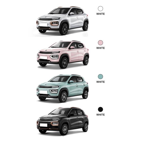 Discover the Perfect Combination of Style and Performance with Dolphin Electric Vehicles' 500cc Mini Car Araba Electrique Adulte