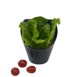 China Bevel Japanese Style Melamine Salad Bowl With Galaxy Pattern on sale