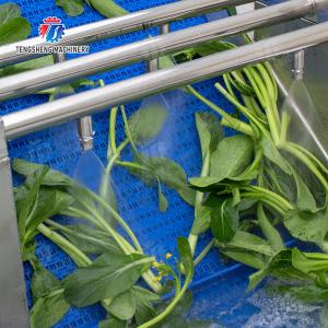 Vegetables bubblewashing machine Leaves Vegetables Onions Leafy vegetables