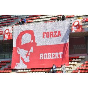 100% Polyester Backdrop Wall Banner Customized Printing 100x150cm