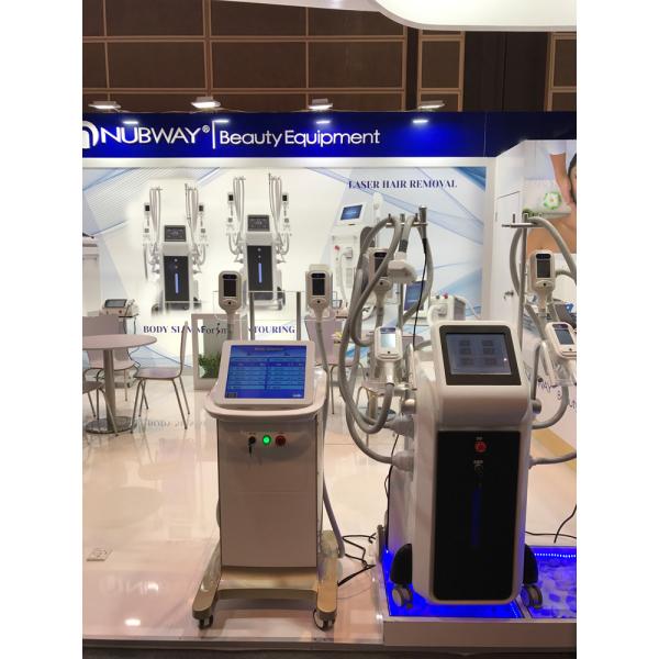 accurate time temperature and vacuum control 4 head coolplas cryolipolysis