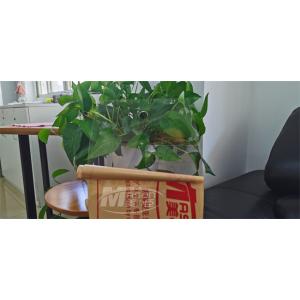 Transparency MMA Clear Perspex Board 10mm Acrylic Plexi Glass Sheet