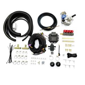 Four Cylinder Car Petrol To LPG Conversion Kit For Sequential Injection System
