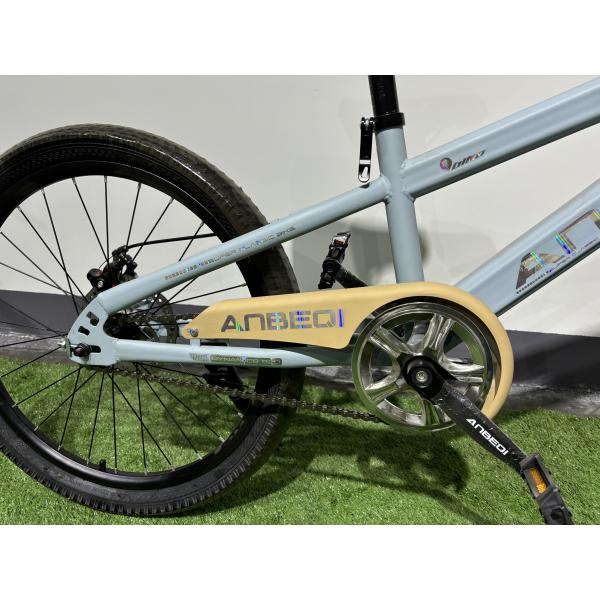 Professional 20-26 Inch MTB Mountain Bikes Shimano Tourney Rear Derailleur and Disc Brakes