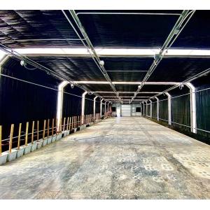 Large Aquaculture Tomato Cucumber Strawberry Hydroponics Greenhouse with High