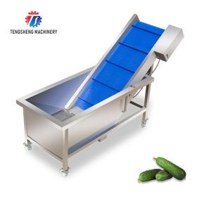 2pcs/Min Industrial Vegetable Processing Machine Automatic Elevator Food