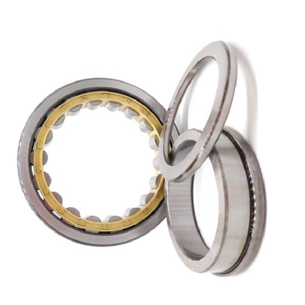 Buy ODM Double Radial Cylindrical Roller Bearing NU1019 95x145x24mm at wholesale prices