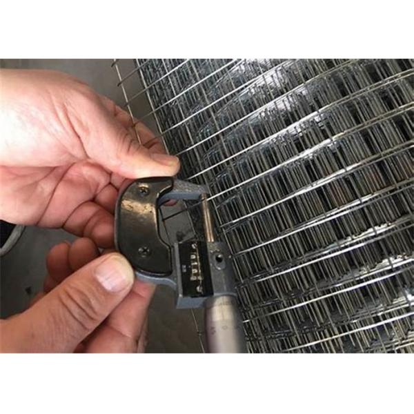 Powder Coated 201 202 304 Sus 4mm Welded Wire Panels