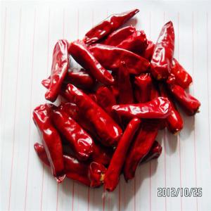 Dried Bullet Shaped Red Chili Hat With Intense Flavor